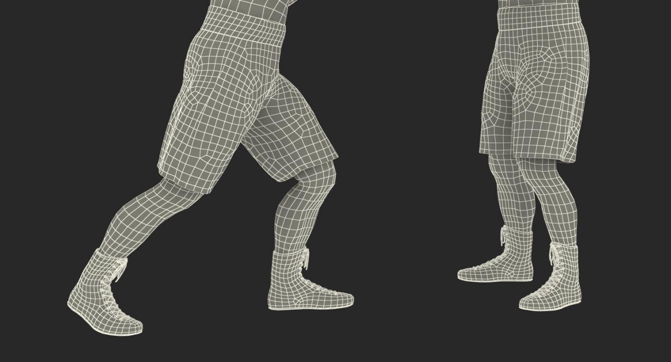 3D model Two Boxers
