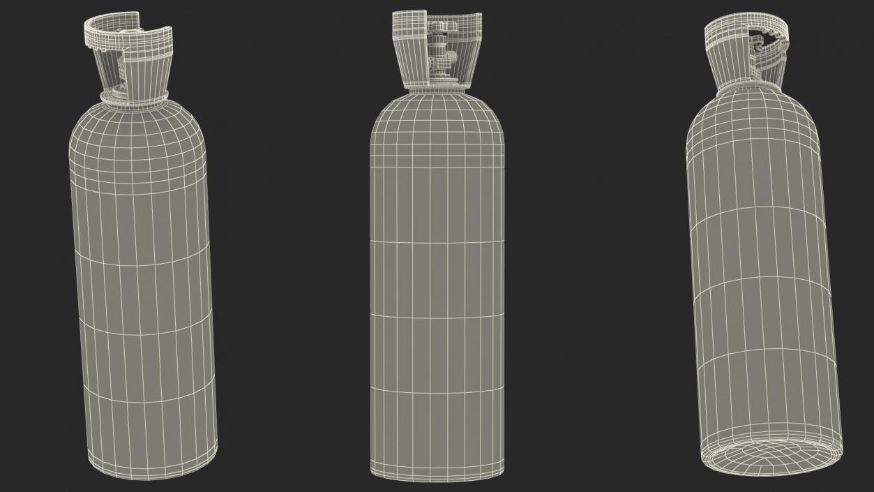 3D model CO2 Cylinder with Needle Valve