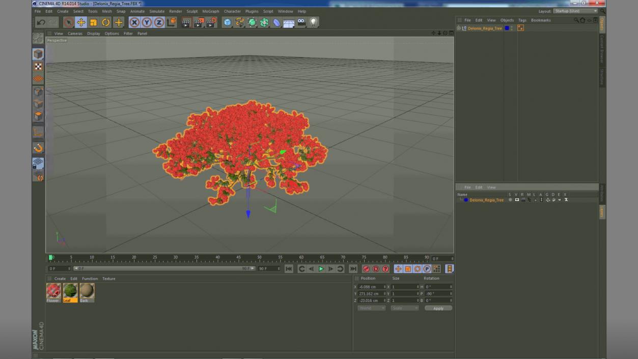 3D Delonix Regia Tree model