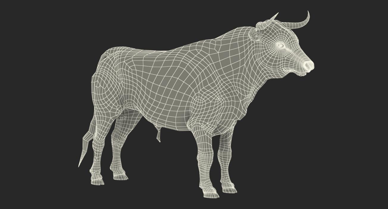 3D model Bull