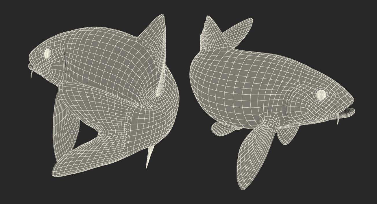 3D Yellow Koi Ogon Fish Swiming Pose model