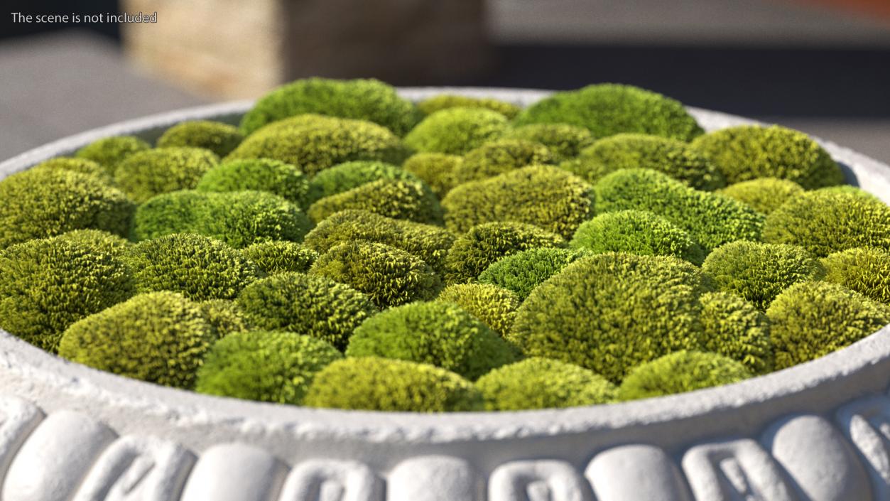 Planter Urn With Moss Garden h75 3D