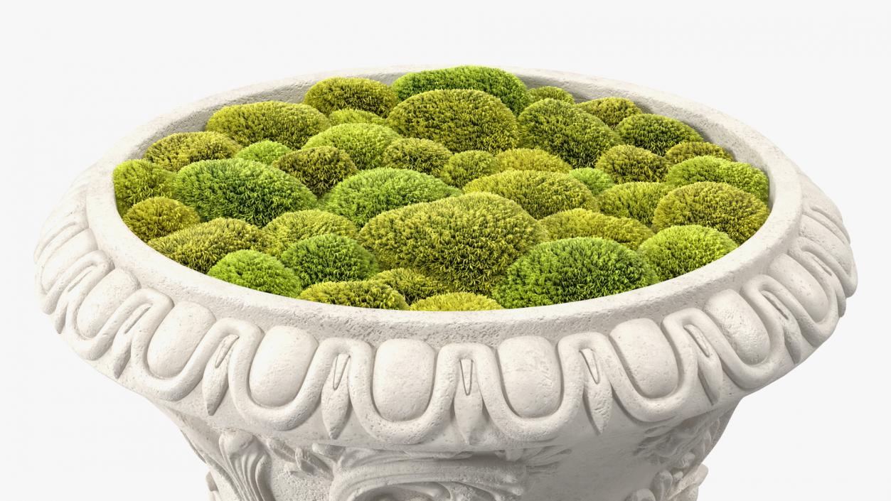 Planter Urn With Moss Garden h70 3D