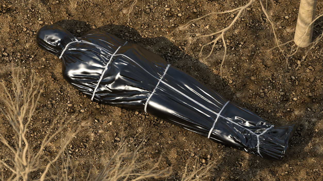 3D Dead Body Covered with Body Bag