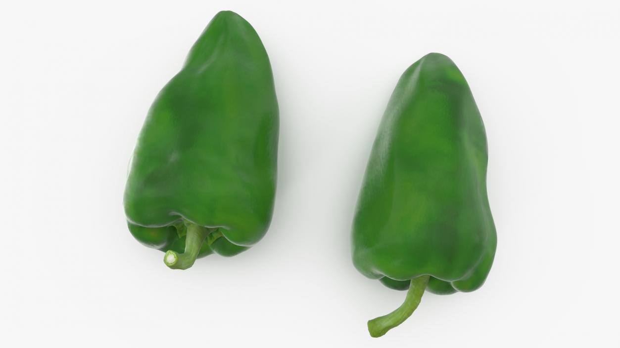 Long Pepper Dark Green 3D