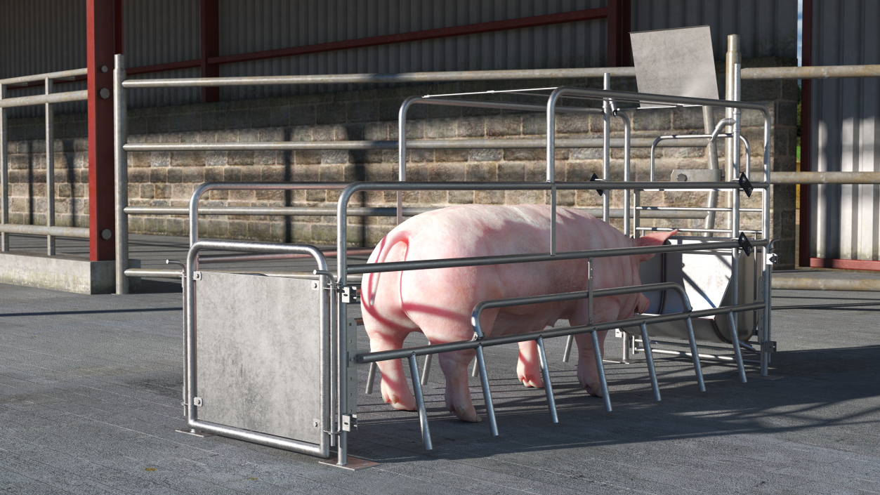 Pig in Farrowing Crate 3D