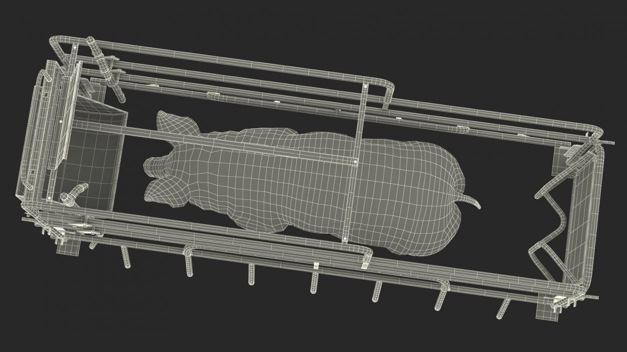 Pig in Farrowing Crate 3D