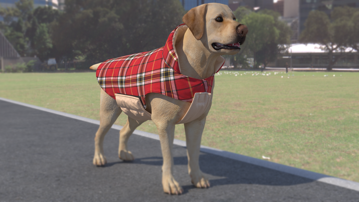 Dog Coat Red 3D