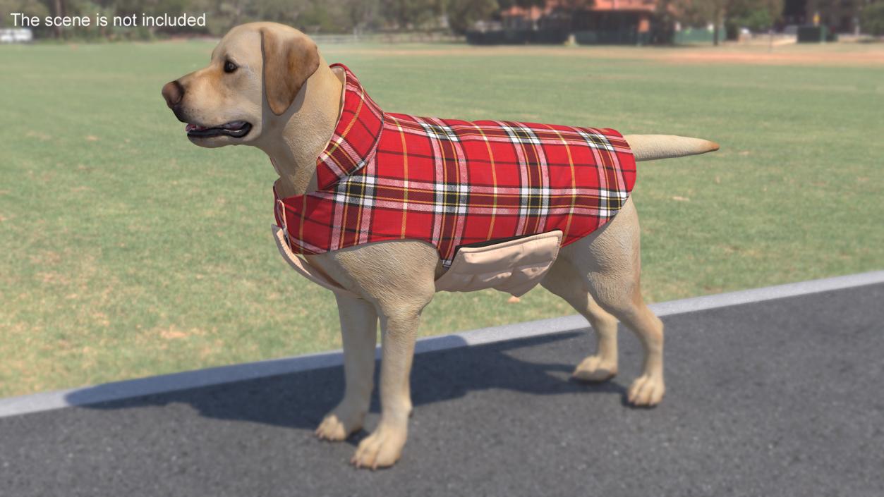 Dog Coat Red 3D