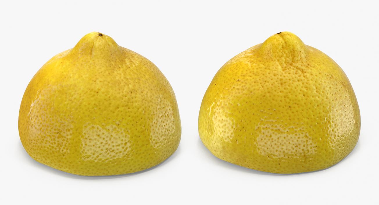 3D model Lemon Half