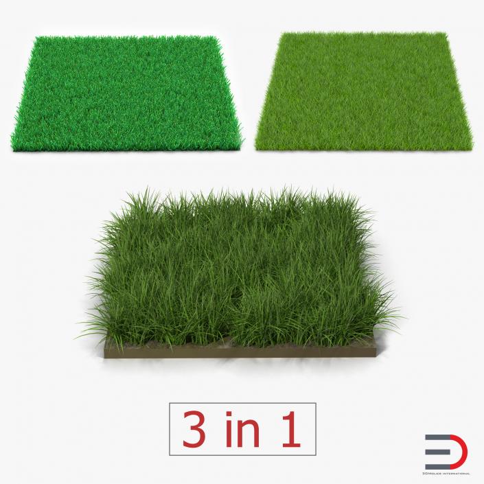 3D model Grass Fields Collection 2