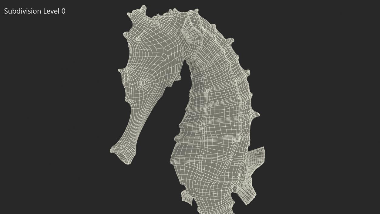 3D Spotted Seahorse Hippocampus Kuda model