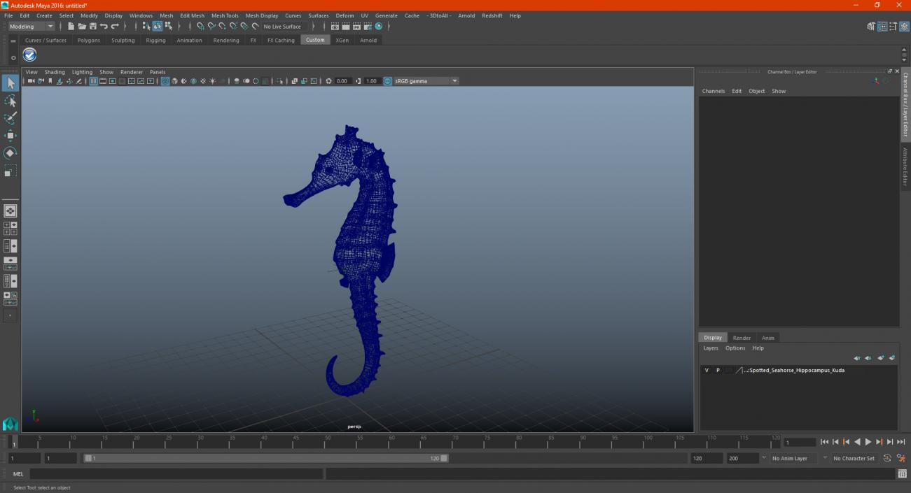 3D Spotted Seahorse Hippocampus Kuda model