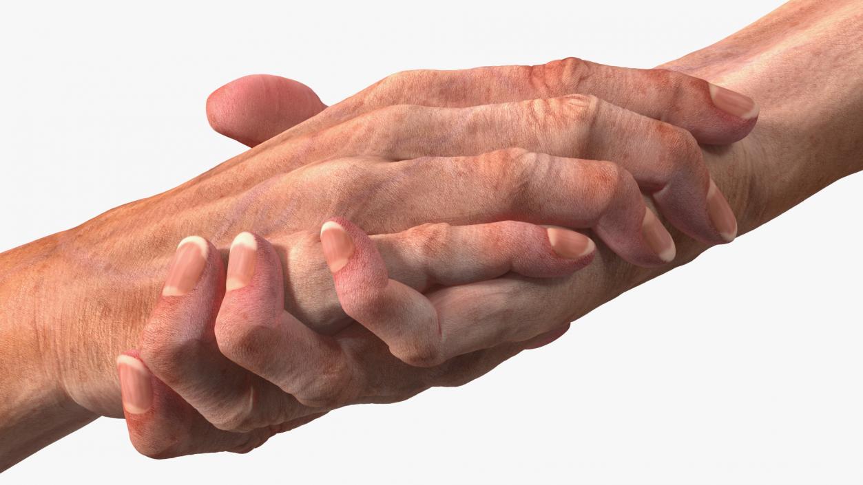 3D model Handshake Old Man Hands Rigged