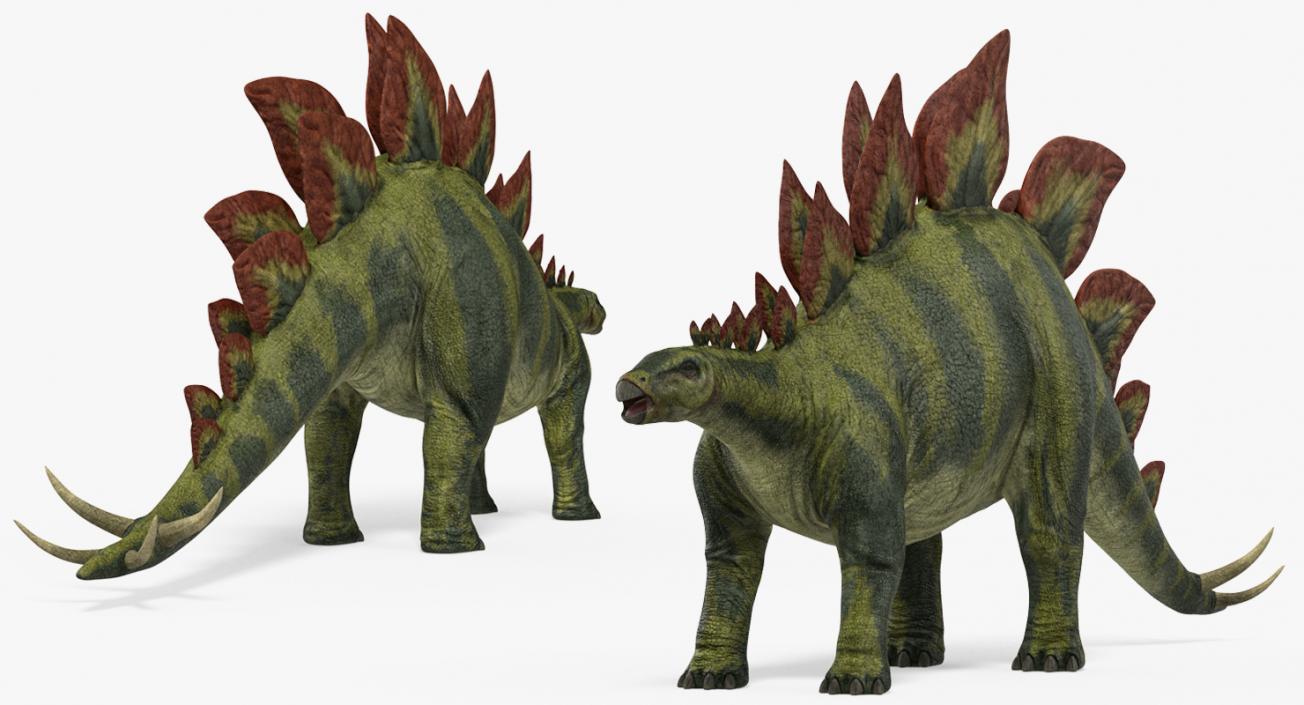 3D Stegosaurus