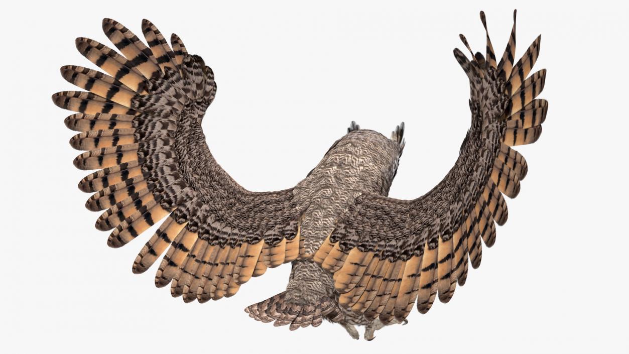 3D Great Horned Owl Attacking Pose
