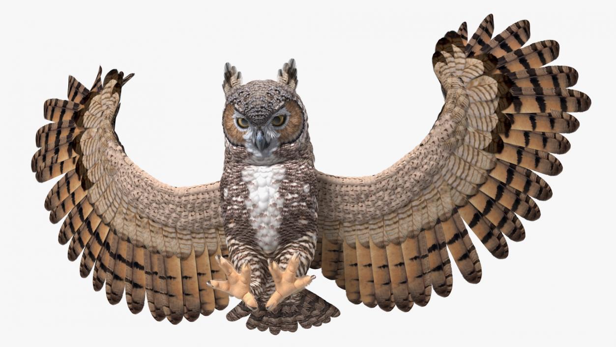 3D Great Horned Owl Attacking Pose