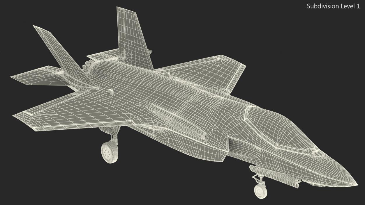 Stealth Multirole Fighter F 35 Lightning II With a Pilot Gesture Ok 3D