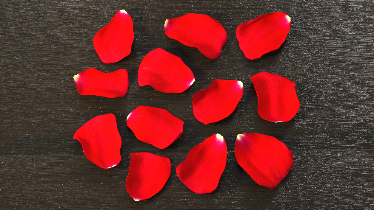 3D model Rose Petals Red