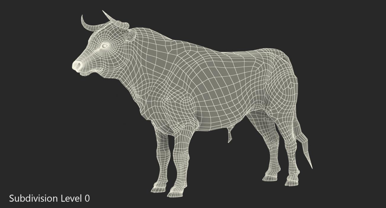 3D Bull Rigged