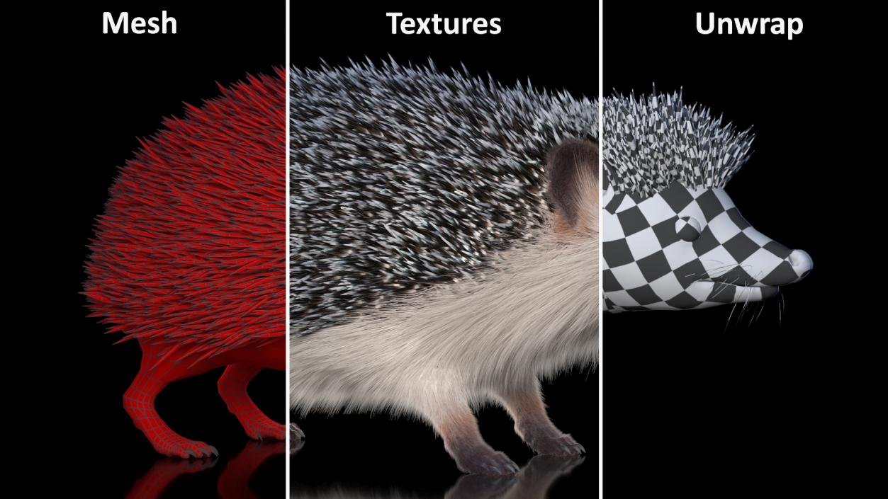 3D White Hedgehog Fur model