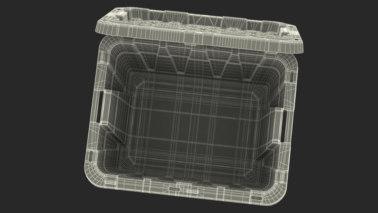 Storage Plastic Container with Lid 3D model