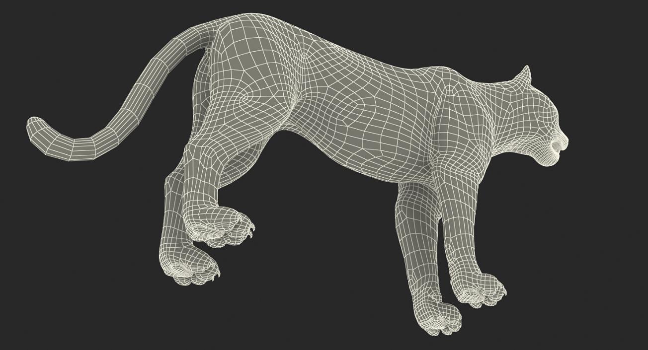 3D Leopard with Fur