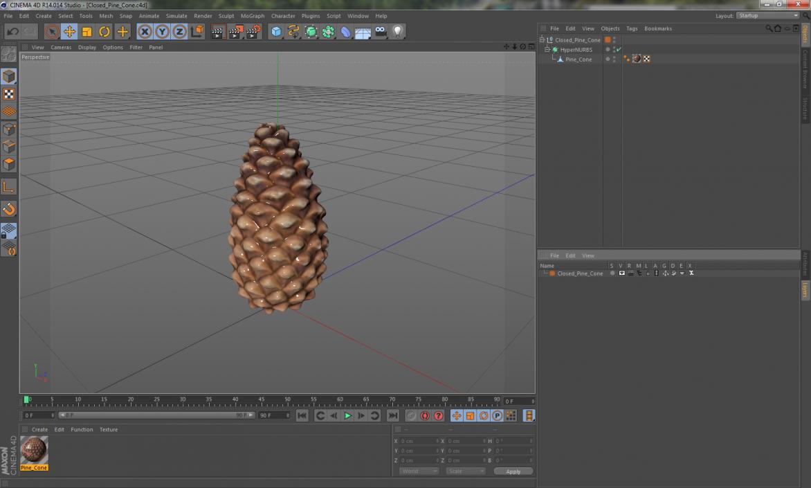 3D Closed Pine Cone