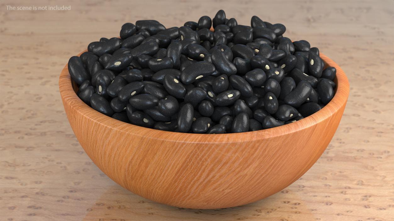 Black Turtle Beans on a Plate 3D model