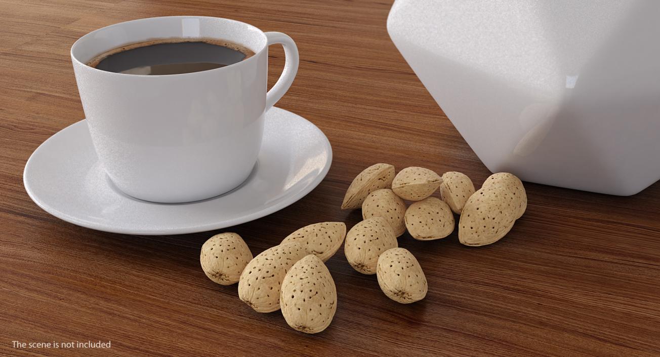 Raw Almond In Shell 3D model