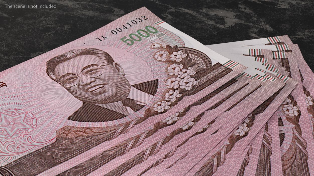 Fan of North Korea 5000 Won Banknotes 2008 3D