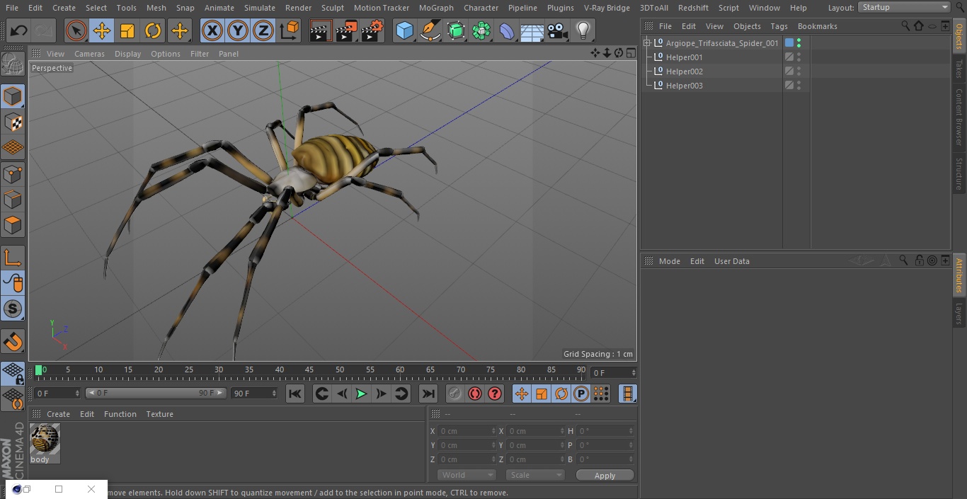 3D Argiope Trifasciata Spider