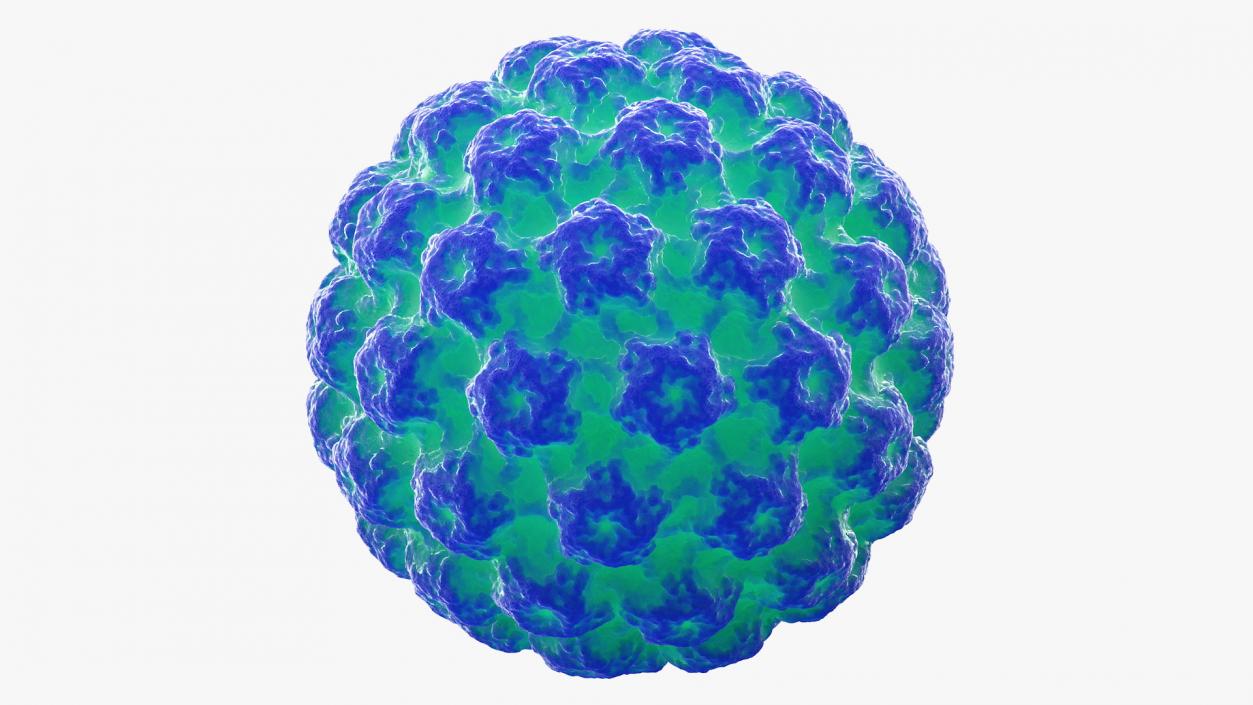 3D model Human Papilloma Virus HPV
