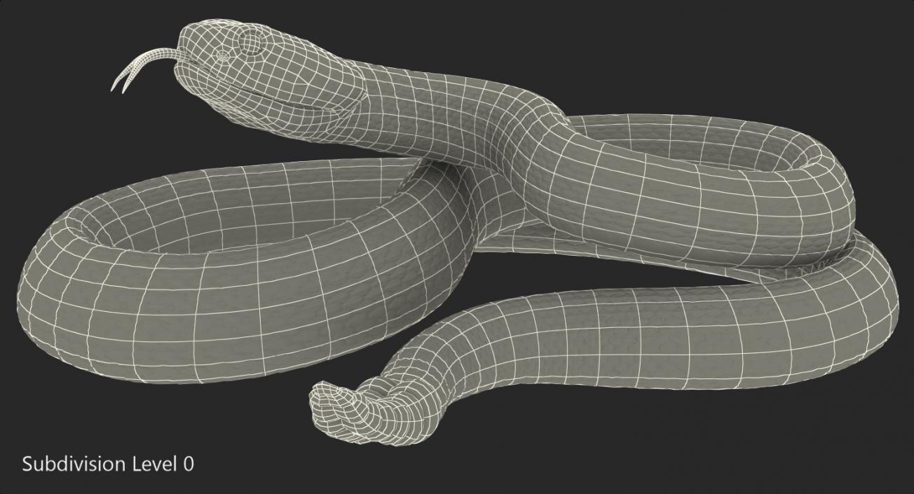 Giant Dark Rattlesnake Rigged 3D model