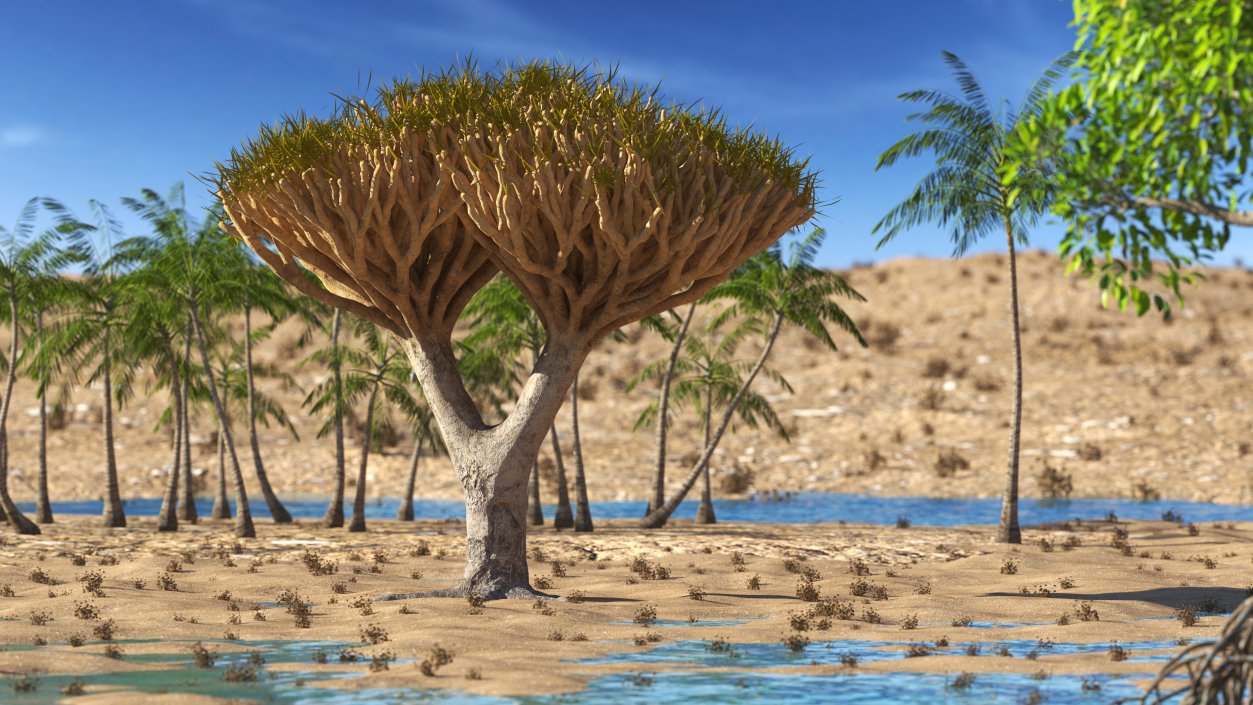 3D Dragon Tree