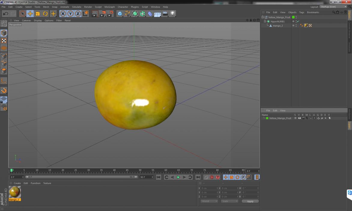 3D Yellow Mango Fruit model
