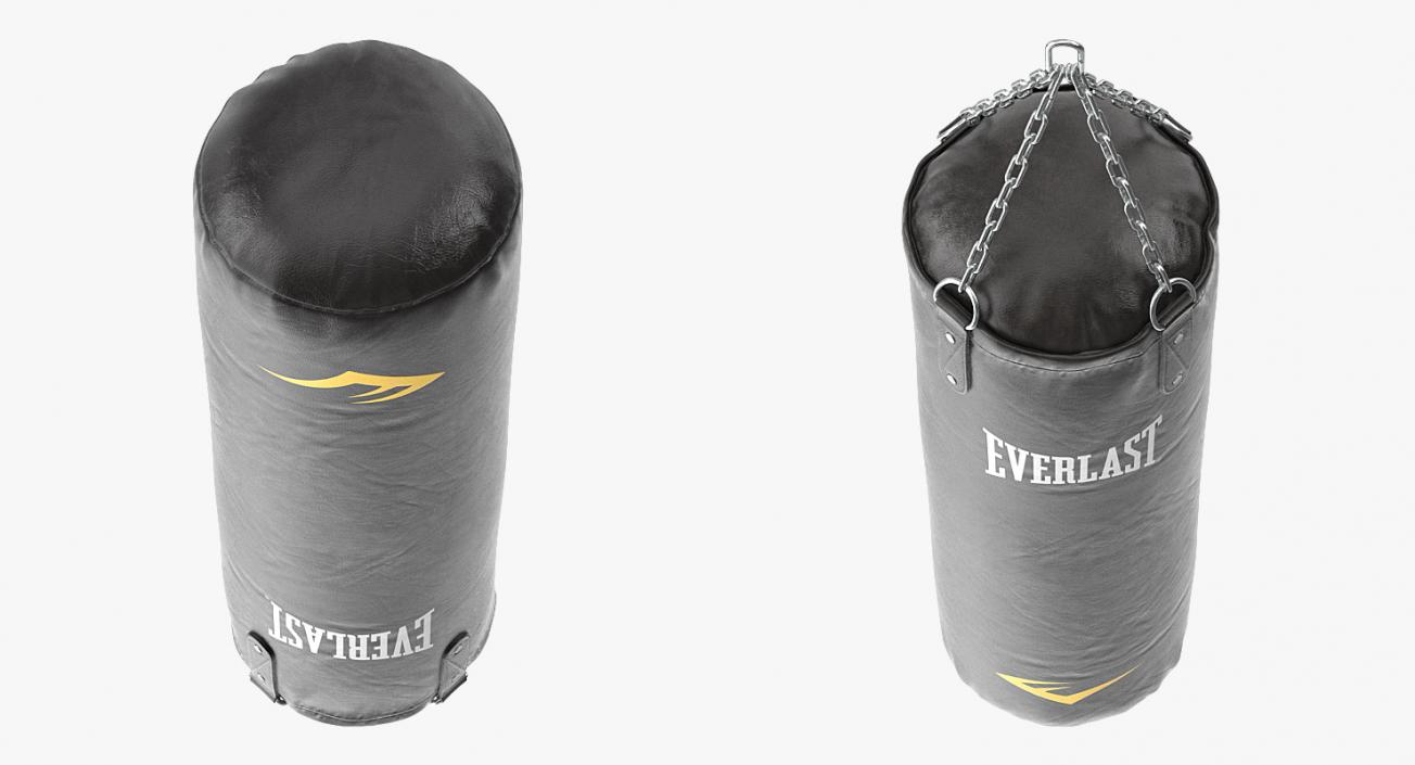 3D Everlast Punching Bag