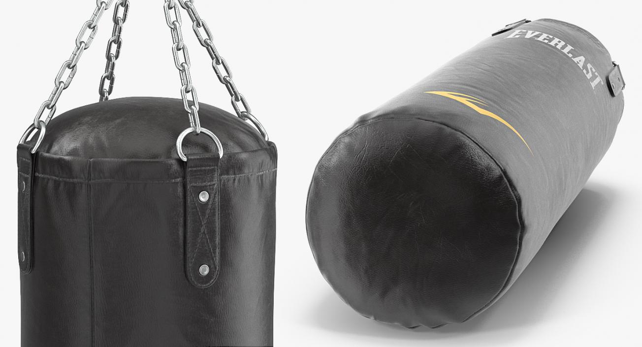 3D Everlast Punching Bag