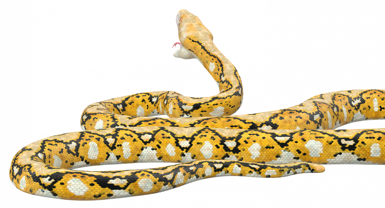 3D Yellow Python Snake Attack Pose