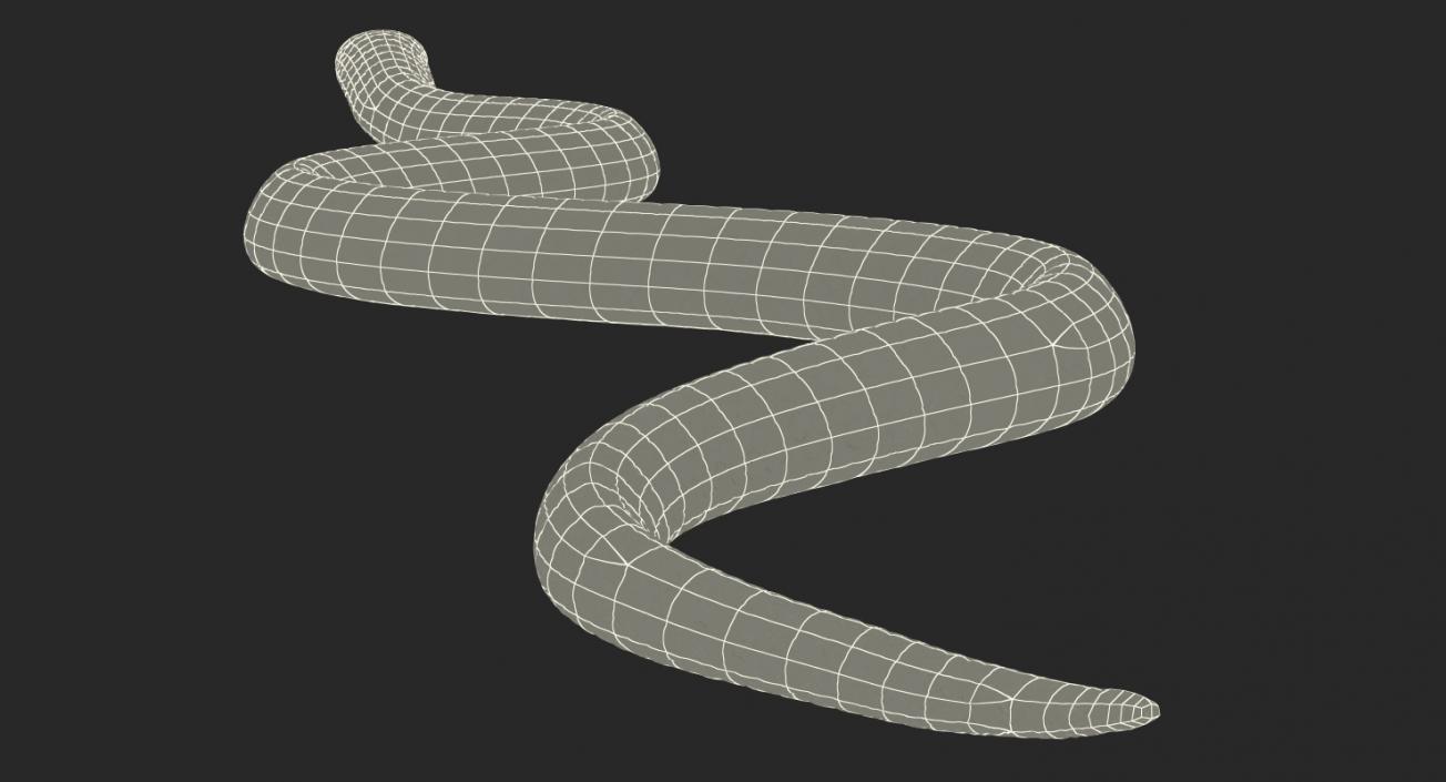 Cobra 3d modeling. How to make a low poly snake using Extrude + Curve  (Autodesk Maya tutorial) 