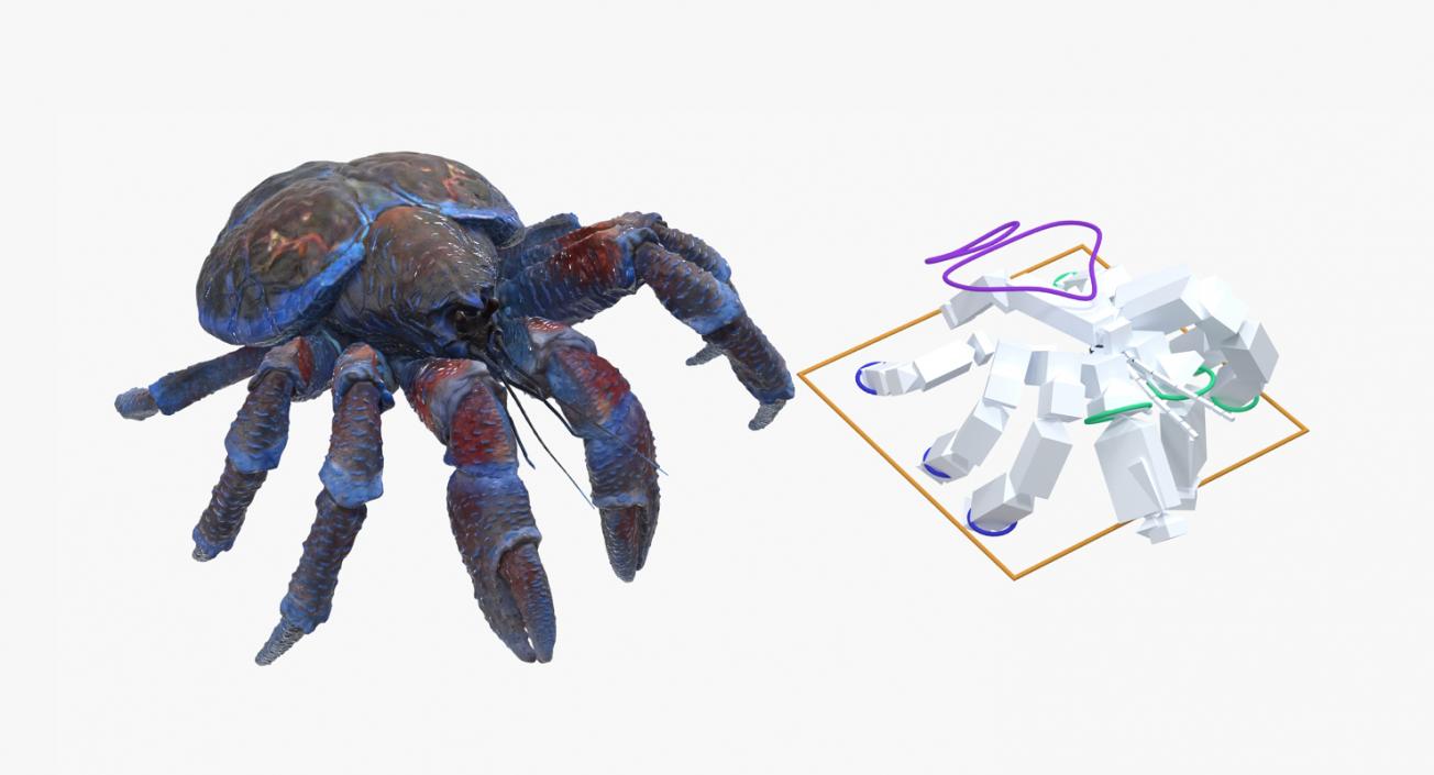 Coconut Crab Rigged 3D model