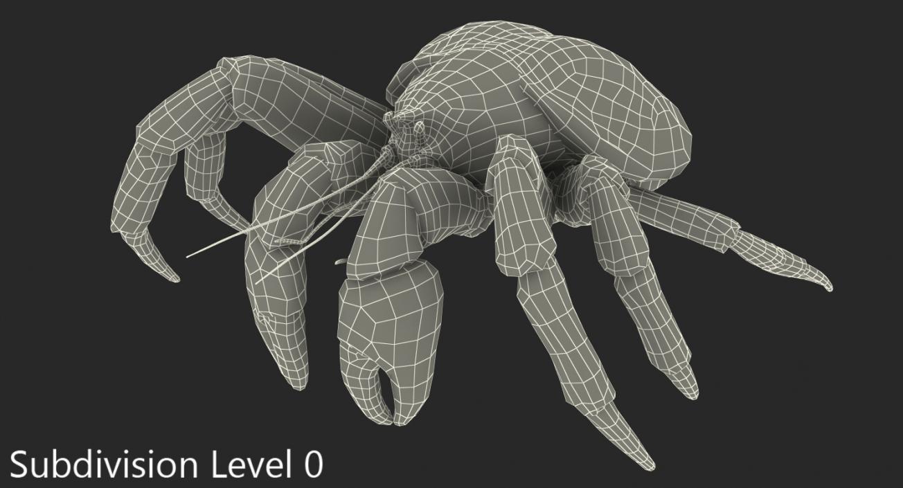 Coconut Crab Rigged 3D model