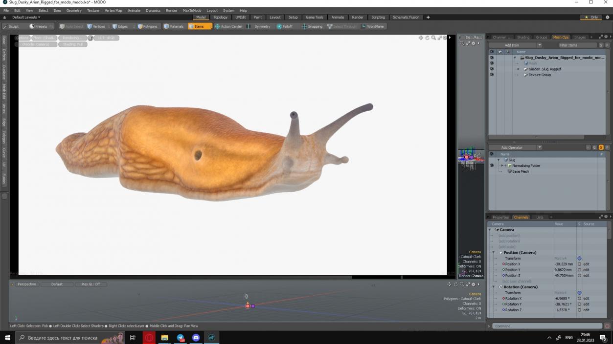 Slug Dusky Arion Rigged for Modo 3D