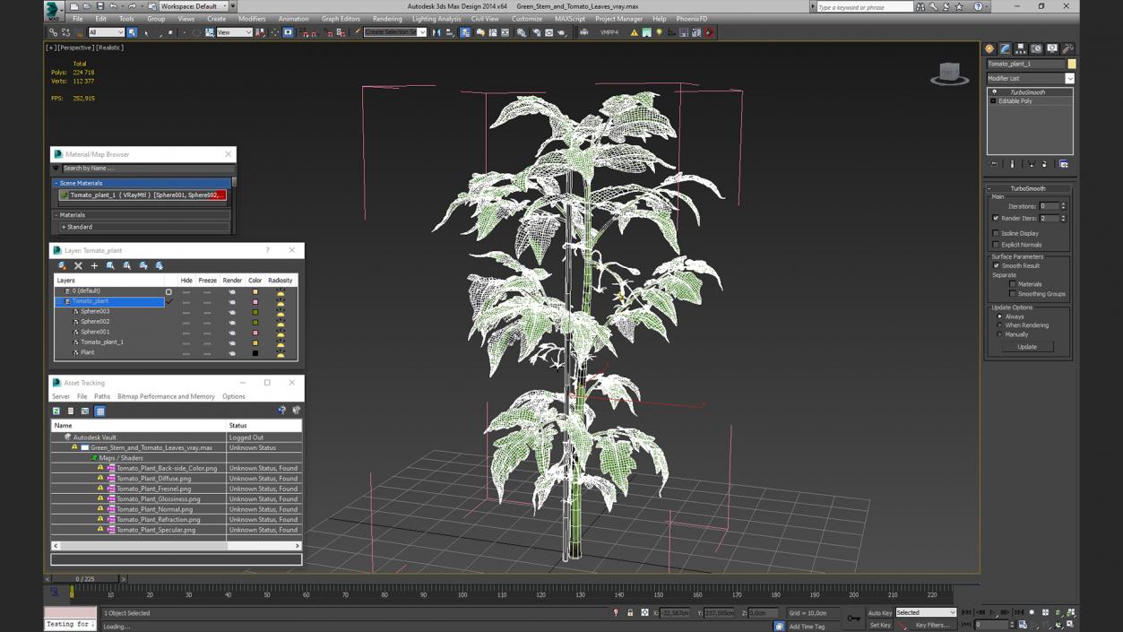 3D Green Stem and Tomato Leaves model