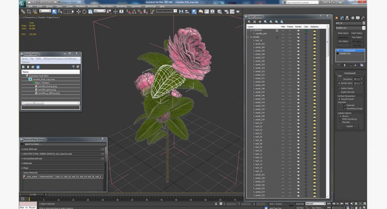 3D Camellia Pink model