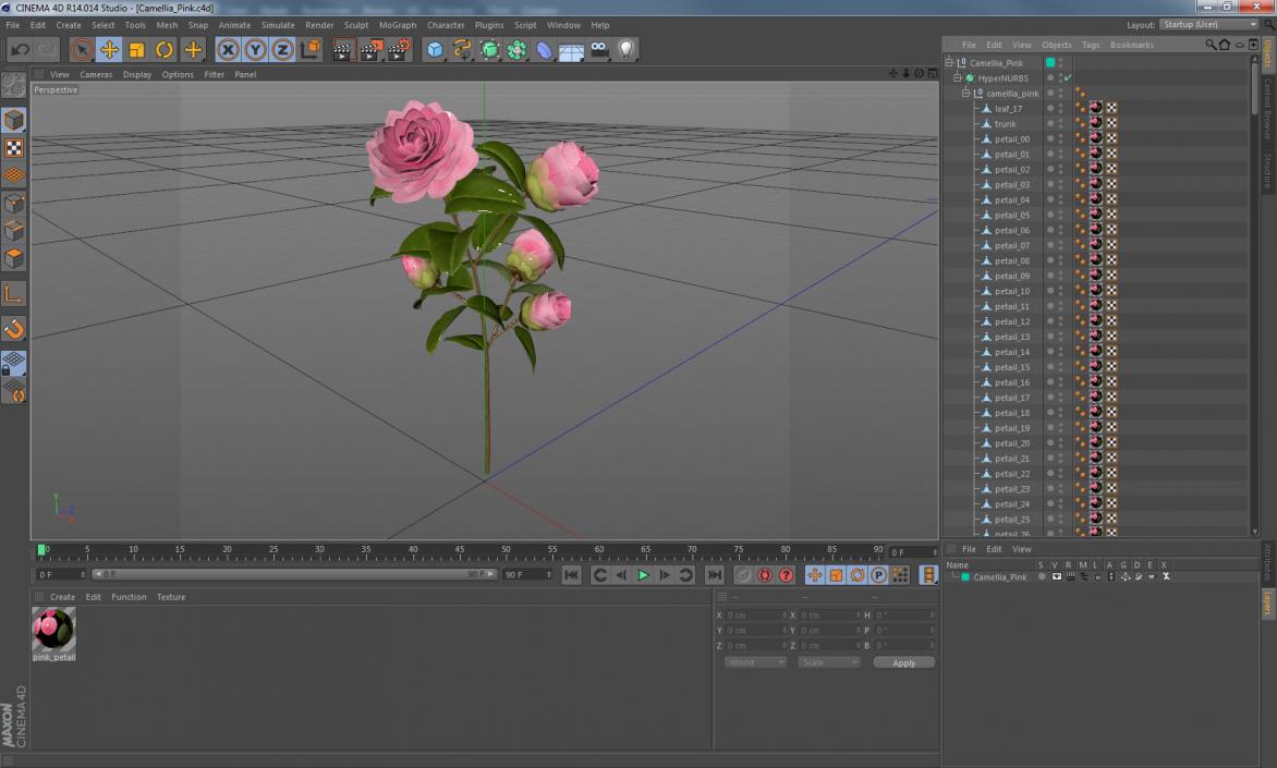 3D Camellia Pink model