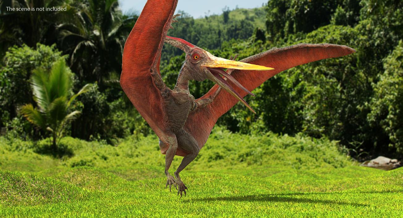 3D Pteranodon Landing Pose model