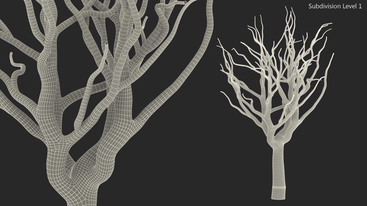 3D model Pistachio Tree Trunk