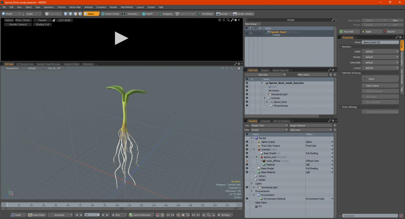 3D Sprout Root