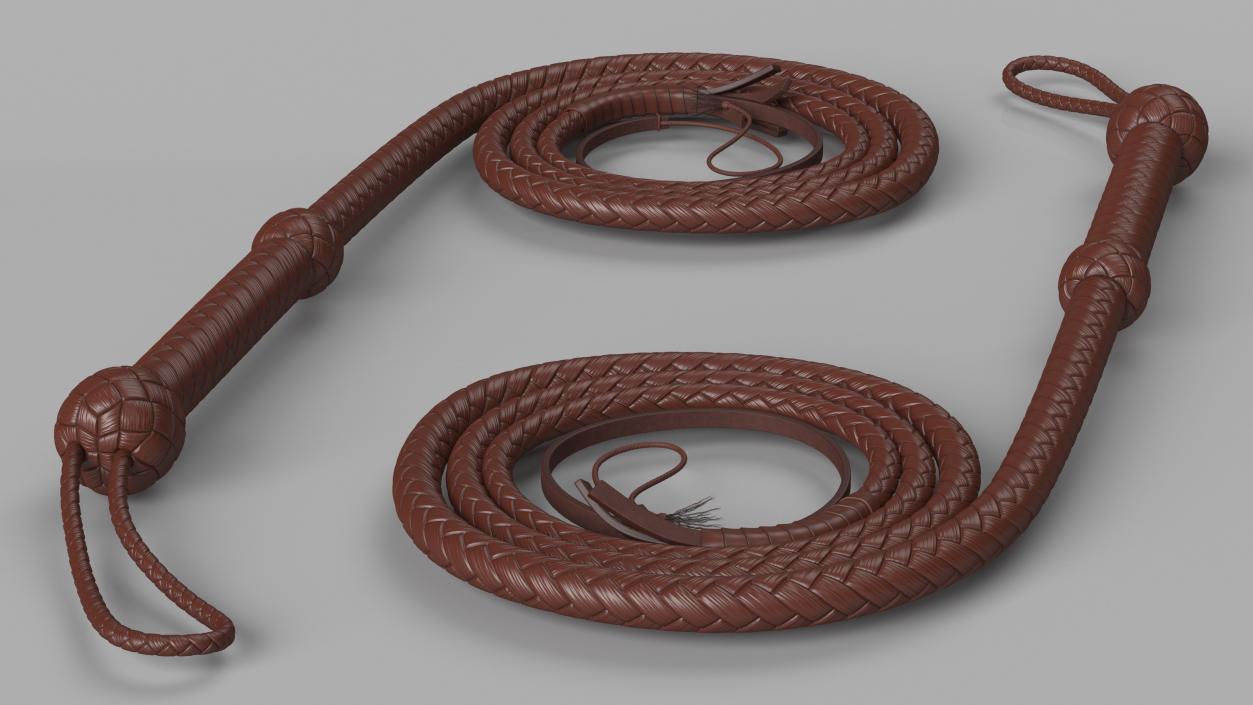 3D Cowboy Whip Brown Rigged for Cinema 4D model